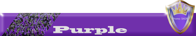チームカラー　紫　パープル