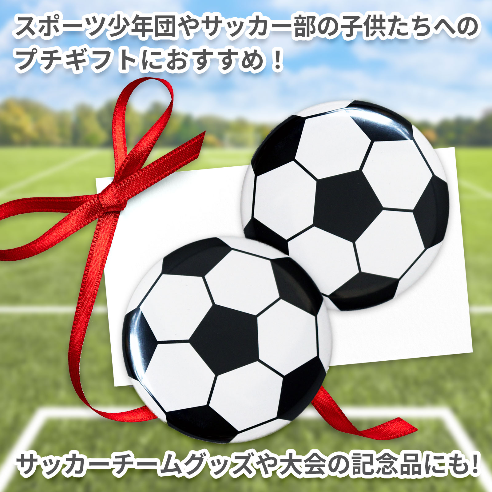 F15518-BL-Y サッカーボール 2個セット ミカサ公式通販】サッカー | MIKASA オンラインショップ